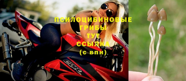 стаф Богородицк