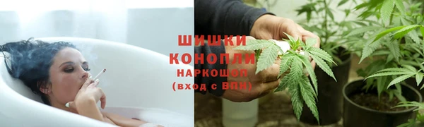 a pvp Богданович