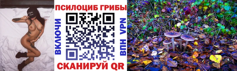 Галлюциногенные грибы ЛСД  Северская 